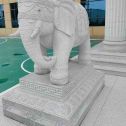 日喀则布 白麻花岗岩动物异形石雕-大象