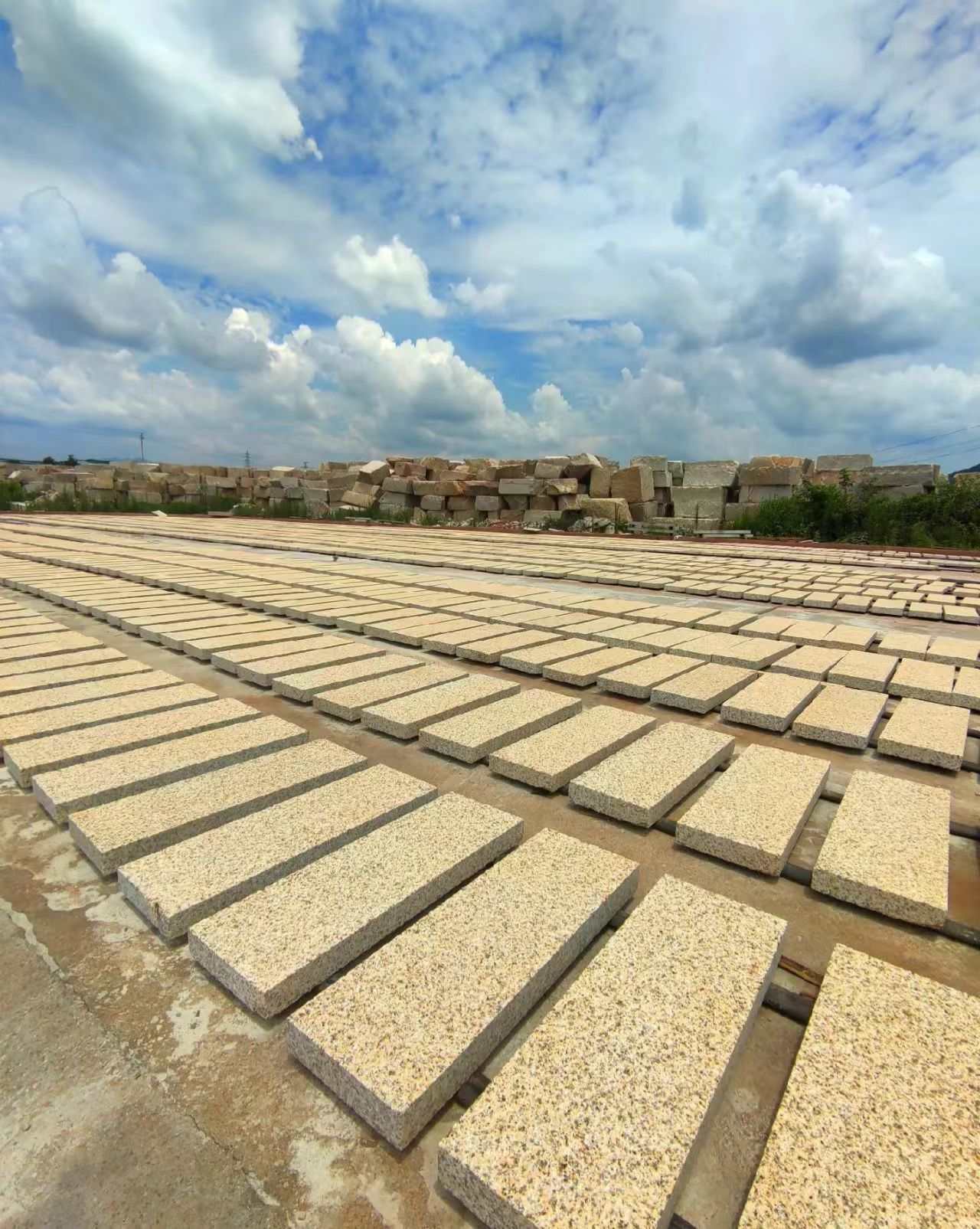 日喀则布 黄金麻花岗岩荔枝面地铺石防护中